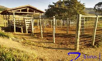 Imagem 5: Fazenda à venda em Ilicinea-MG, bairro Fazenda: 3 quartos, 1 sala, 1 banheiro, 1 vaga de g
