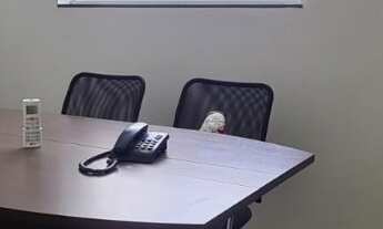 Imagem 6: ÓTIMA CASA ou PONTO COMERCIAL NA REGIÃO CENTRAL DE CAMPINAS