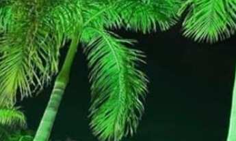 Imagem 5: Casa em Condomínio à Venda em Vargem Pequena, Rio de Janeiro-RJ: 2 Quartos, 1 Sala, 1 Banh