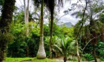 Imagem 3: Casa de Luxo no Camorim com Cachoeira Privativa - 3 quartos, 3 suítes, 1 sala, 4 banheiros