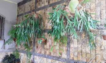 Imagem 2: Vendo casa com quintal, 3 quartos em Campo Grande