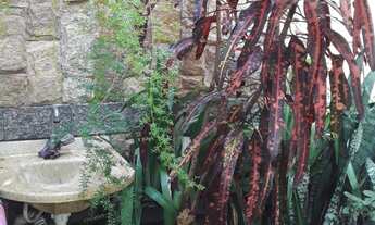 Imagem 5: Vendo casa com quintal, 3 quartos em Campo Grande