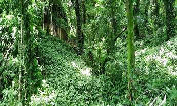 Imagem 3: Barra da Tijuca, Itanhangá Hills, raridade, apartamento lamina com 256m²