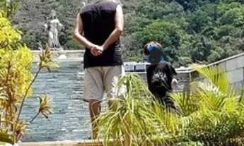 Imagem 3: Laranjeiras, magnifica cobertura lamina, com 1320m² e area construida de 421m², com vista