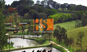 Imagem 2: HARAS RURAL em AMPARO - SP, PANTALEÃO