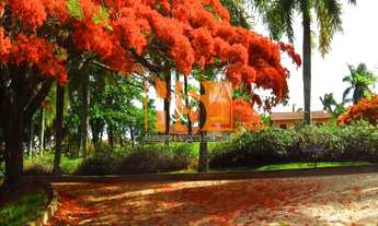 Imagem 3: HARAS RURAL em AMPARO - SP, PANTALEÃO