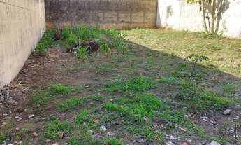 Imagem 3: Terreno com 297,62m², plano, perto de comércios e residências, rua com muito movimento, ex