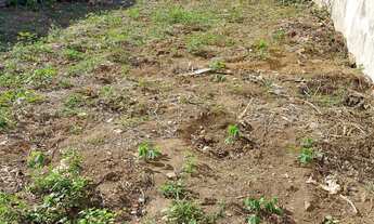 Imagem: Terreno com 297,62m², plano, perto de comércios