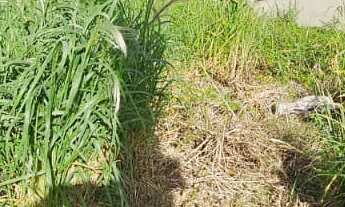 Imagem 2: Terreno com 153,20m², plano, misto. Excelente localização