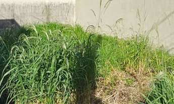 Imagem 3: Terreno com 153,20m², plano, misto. Excelente localização