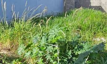 Imagem: Terreno com 153,20m², plano, misto. Excelente