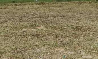 Imagem: Terreno com 150,00m², plaino. Loteamento