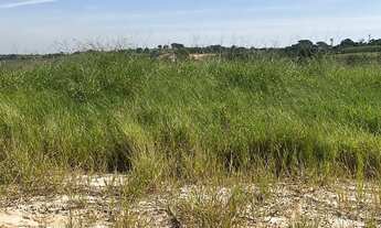 Imagem: TERRENO RESIDENCIAL em ELIAS FAUSTO - SP