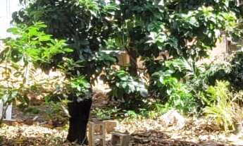 Imagem: Terreno a venda no Centro de Indaiatuba