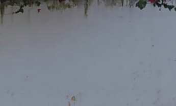 Imagem 6: Morada do Sol-Indaiatuba