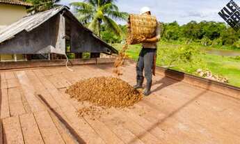 Imagem 6: Vendo Fazenda de Cacau e Turismo Rural com 245 hectares em Ilhéus