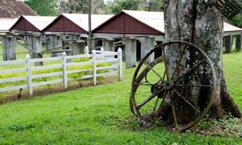 Imagem 4: Vendo Fazenda de Cacau e Turismo Rural com 245 hectares em Ilhéus