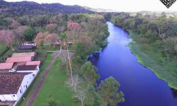Imagem 2: Vendo Fazenda de Cacau e Turismo Rural com 245 hectares em Ilhéus
