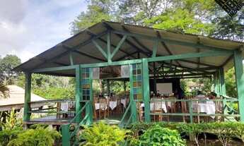 Imagem 5: Vendo Fazenda de Cacau e Turismo Rural com 245 hectares em Ilhéus
