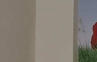 Imagem 5: Prédio pronto para funcionar Clínica Médica, Rio Vermelho - Frente de Rua Movimentada