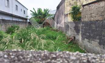 Imagem 4: Terreno plano parcelado na Vila Nova Aparecida