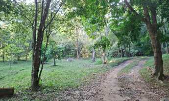 Imagem 3: Sítio no Itapeti com 20.000m² de área