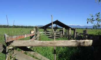 Imagem: 250000M² de Área Total