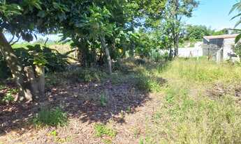 Imagem 6: Terreno à venda no bairro Itapocú em Araquari, localizado às margens da rodovia BR-101
