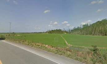 Imagem 3: Área Privilegiada para Indústrias e Logística, a apenas 20km do Porto de Itapoá