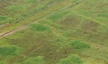 Imagem: Área industrial de alta qualidade e com