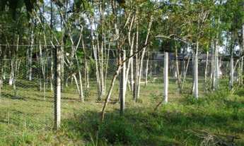 Imagem 6: Chácara Garuva Palmital - Buch Imóveis