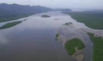 Imagem 3: Chácara Garuva Palmital - Buch Imóveis