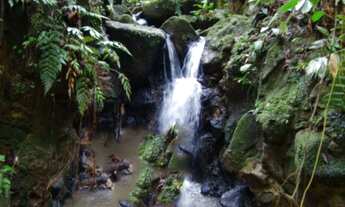 Imagem 6: Chácara Garuva Santa Catarina - Buch Imoveis