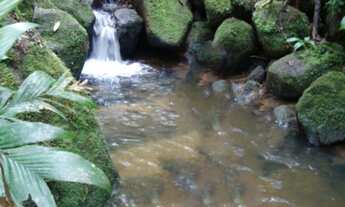 Imagem 7: Chácara Garuva Santa Catarina - Buch Imoveis