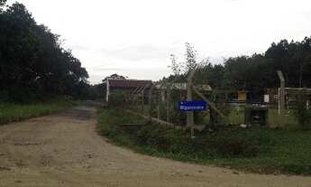 Imagem 5: Chácara Garuva Palmital - Buch Imóveis