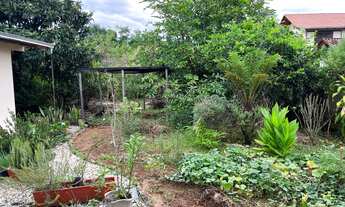 Imagem 2: Casa, comercial, residencial, venda, Bairro Gloria, Buch Imoveis