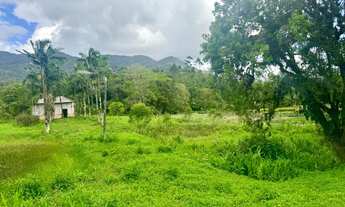 Imagem 3: Chácara Garuva Santa Catarina - Buch Imoveis