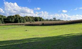 Imagem: 3500M² de Área Total