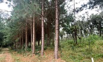 Imagem 3: 30535M² de Área Total