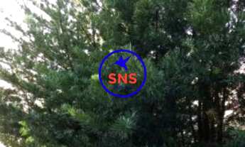 Imagem 6: APARTAMENTO RESIDENCIAL em CAMPINAS - SP, VILA RICA