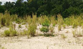 Imagem 3: Terreno à venda no Bairro Caxambu em Jundiaí - SP