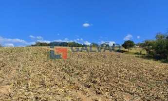 Imagem 2: Sítio à venda no Bairro Campo dos Aleixos/Ponte Alta em Atibaia - SP