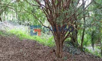 Imagem 4: Sítio e terreno à venda no Bairro Ivoturucaia em Jundiaí - SP