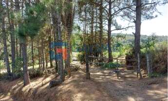 Imagem: Sitio à venda no Bairro Pitangal em Jarinu