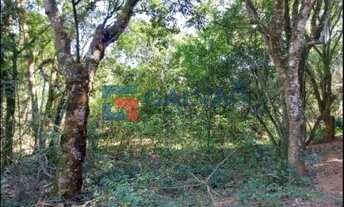 Imagem: Sítio à venda no Bairro Pitangal em Jarinu