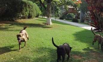 Imagem 4: CHACARA RESIDENCIAL em ITUPEVA - SP, GUACURI