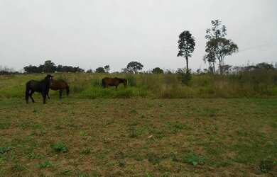 Imagem 3: AREA RESIDENCIAL em JUNDIAÍ - SP, JARDIM TARUMÃ