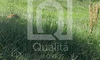 Imagem: Terreno à venda no bairro Campo de Boituva