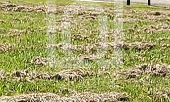 Imagem 2: Terreno à venda Condomínio Alphaville Nova Esplanada