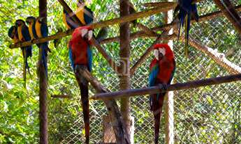 Imagem 6: Terreno no bairro Novo Mundo em Boituva